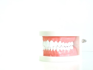 Obraz premium teeth and toothbrush