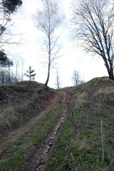 road from an abandoned village in the spring