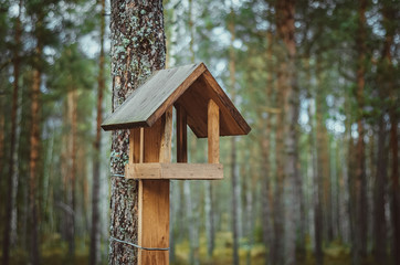 Wooden bird feeder on a pine tree in the forest. Caring for the environment
