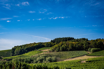 Fototapeta premium Nature scenry