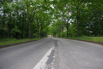 rue dans la ville de Saint-Etienne