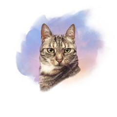 Cute striped cat on watercolor background. Realistic drawing of a cat with green eyes. Animal art collection for pet shop, nursery. Good for print on pillow, T shirt. Hand painted illustration of pets