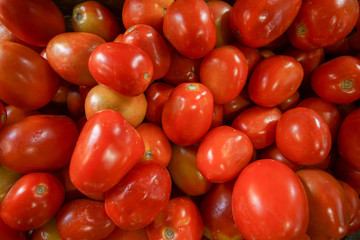 bunch of tomatoes