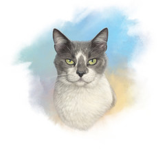 Portrait of Cute cat on watercolor background. Realistic drawing of a cat with green eyes. Animal collection for pet shop, nursery. Good for print on pillow, T shirt. Hand painted illustration of pets