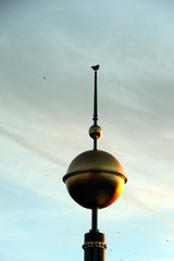 Berliner Dom, Details von der Domkuppel aus gesehen © fotograupner