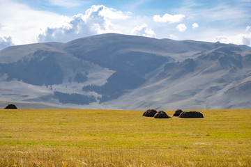 Obraz premium Farming, agriculture. Yellow hay bale in mountains on blue cloudy sky background.
