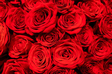 Natural red roses bouqet background.