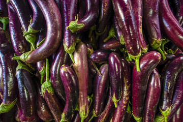 eggplant on background