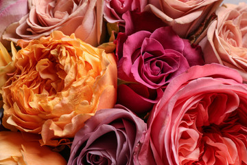 Beautiful bouquet, closeup. Floral card design with dark vintage effect