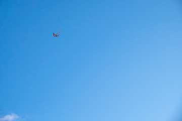 Beautiful kite on blue Freedom concept. sky background, great design for any purposes. Sky clouds. Holiday background. Summer vacation.