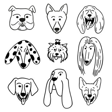 Set of illustrations cute funny dog faces in the doodle style