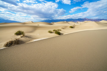 mesquite flat sand dunes in death valley, california, usa