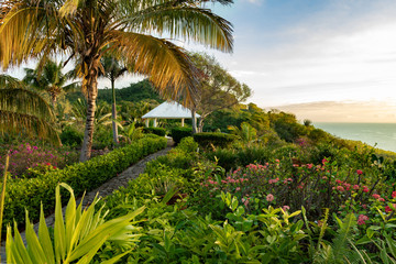 Fototapeta na wymiar A beautiful tropical garden with a path to a pavilion, palm trees, ocean view, copy space, Samana, Dominican Republic
