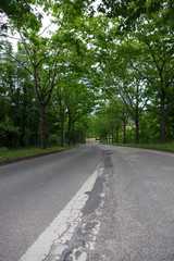 rue dans la ville de Saint-Etienne