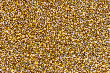 Corn seeds. Biofuel component. Biomass energy.