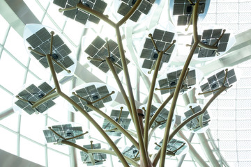 Solar panel tree concept. Alternative energy. Green energy.