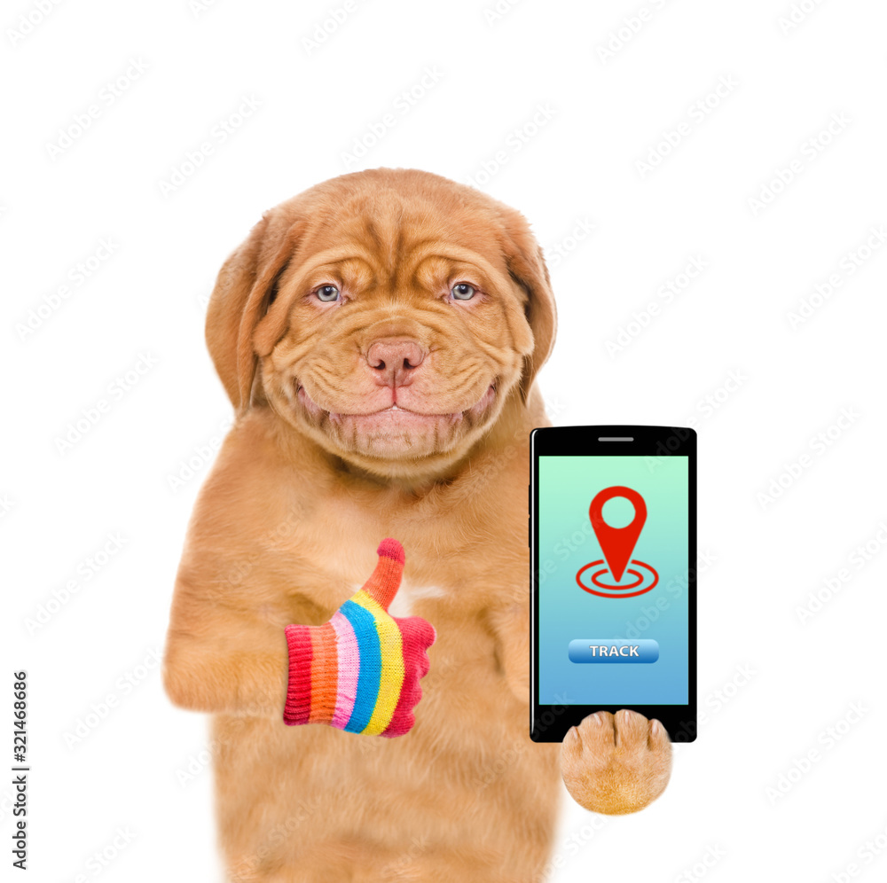 Poster Smiling puppy holds smartphone with tracking symbol and shows thumbs up. Tracking concept. Isolated on white background