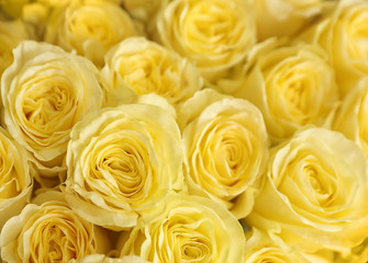 Beautiful bouquet of fresh roses, closeup. Floral decor