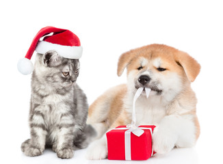 Cat wearing the red santa`s hats looks at Akita inu puppy who opens gift box. isolated on white background
