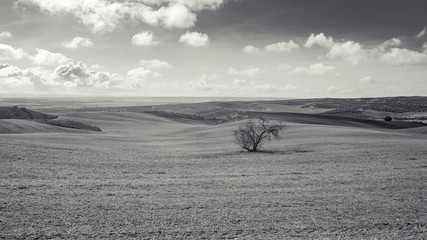 Fototapeta na wymiar Landscape photography near from Toledo (Spain, Europe)
