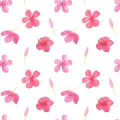 Hibiscus flowers seamless pattern on white background. Watercolor tropical flowers hand drawn background. Perfect for woman textile, kids fabric, covers. Spring, summer season. Exotic flowers.