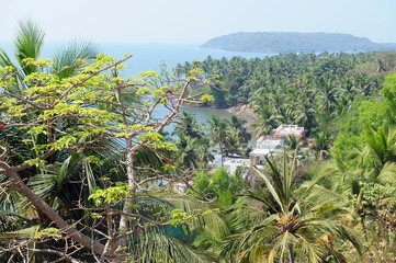 Fototapeta na wymiar View from hill to the sea, hotel on the shore among green palm trees. Resort in Asia. Roof of the hotel under construction, place for future tourist holidays.