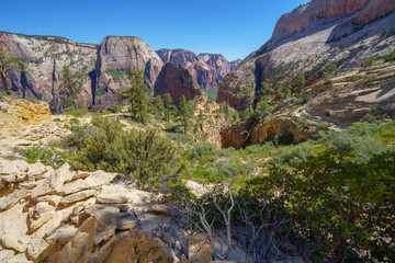 hiking west rim trail in zion national park, usa