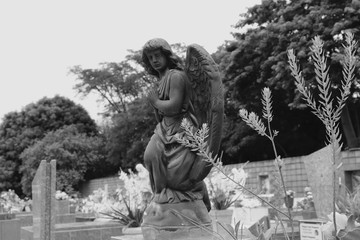 black and white photo with the view of an angel statue in a cemetery amid the tombs and in the background a large wall and trees under a cloudy sky