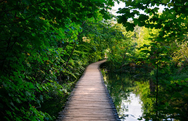 Plitvice lakes, Croatia. Beautiful place visited by thousands of tourists every year. 