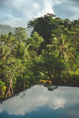 Pool in the jungle