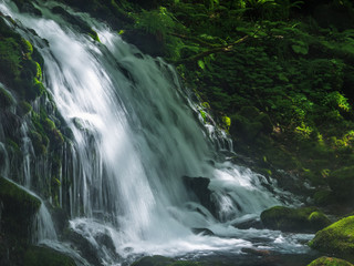 Fototapeta premium Mototakifukuryusui spada Mototakifukuryusui spada