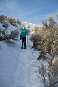 Person Snowshoeing