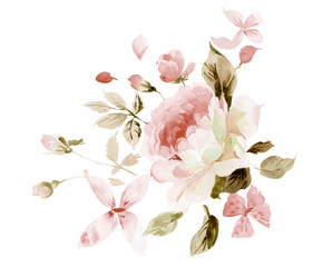 Naklejka na ściany i meble Flowers watercolor illustration.Manual composition.Big Set watercolor elements.