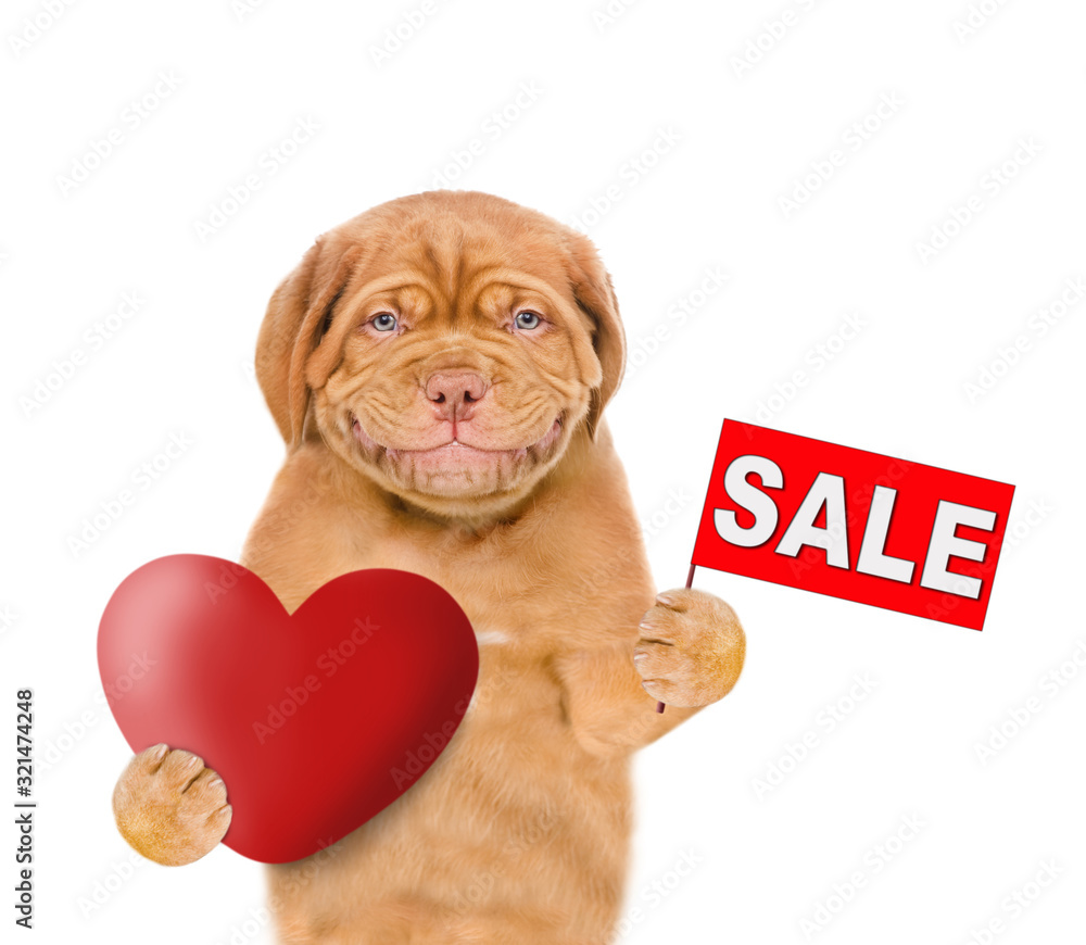 Poster smiling puppy holds red heart and sales symbol. isolated on white background