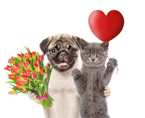 Kitten and puppy hold a bouquet of tulips and heart shaped balloon. isolated on white background