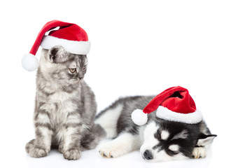 Fototapeta na wymiar Funny kitten wearing a santa hat looks at a sleepy husky puppy. isolated on white background