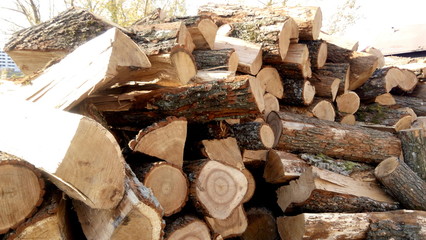 pile of wood