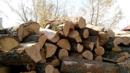 pile of wood