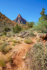hiking the watchman trail in zion national park, usa