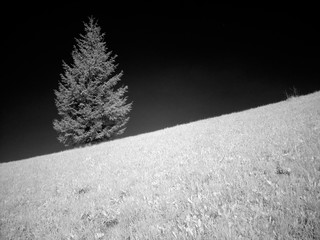 infrared