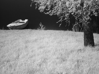 infrared