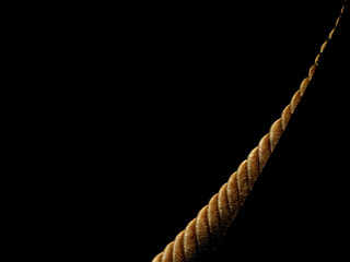 dry brown leaves of Elephant apple (Dillenia indica) on black background