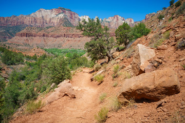hiking the watchman trail in zion national park, usa