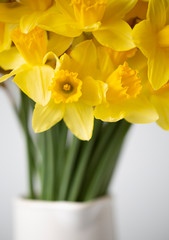 Daffodil yellow flowers bunch vase white spring time simple minimal calm