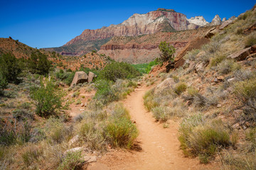 hiking the watchman trail in zion national park, usa