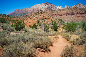 hiking the watchman trail in zion national park, usa