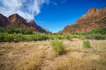 the watchman from parus trail in zion national park, usa