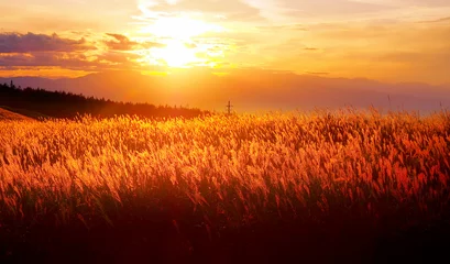 Fototapete Braun Sonnenuntergangswiesen und Berge (japanische Landschaft)  © mahalopuka