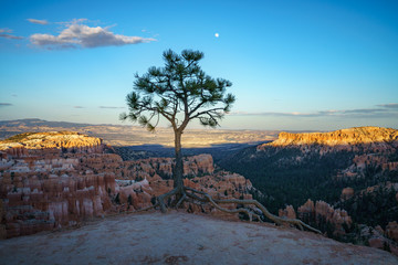 hiking the rim trail in bryce canyon national park, utah, usa