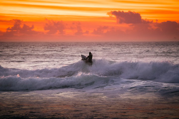 Naklejka premium Surfer at Llandudno, Cape Town